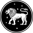 Leo Leo